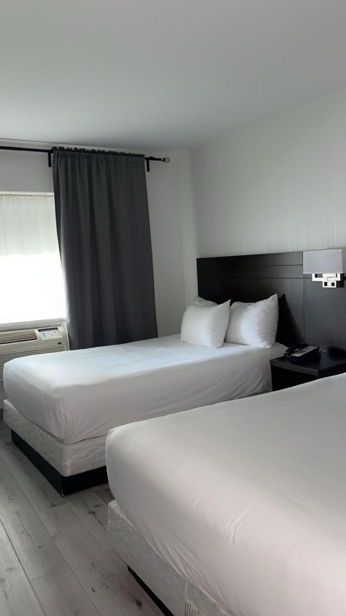 Hotel Newstar Montréal Esterno foto