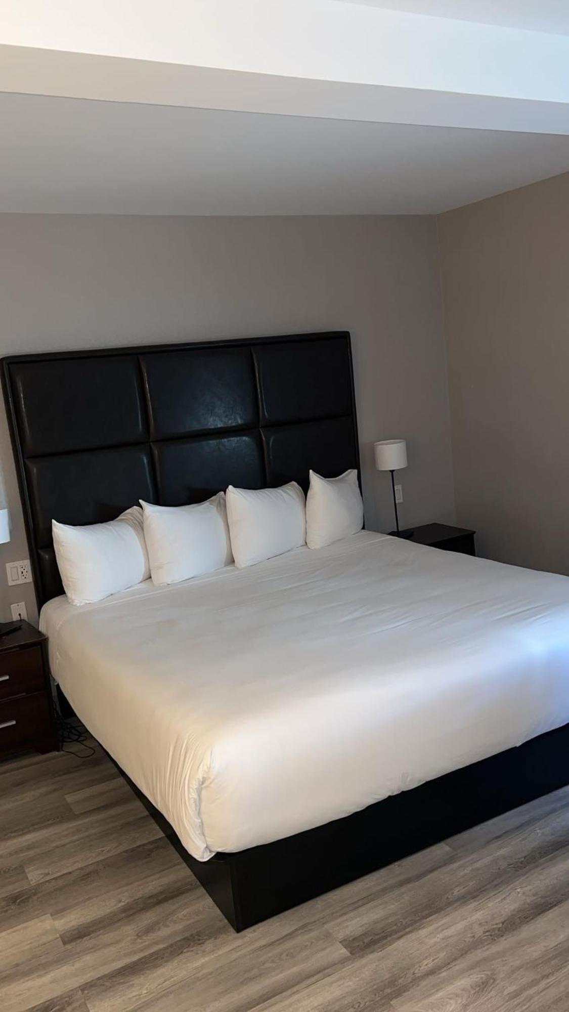 Hotel Newstar Montréal Esterno foto
